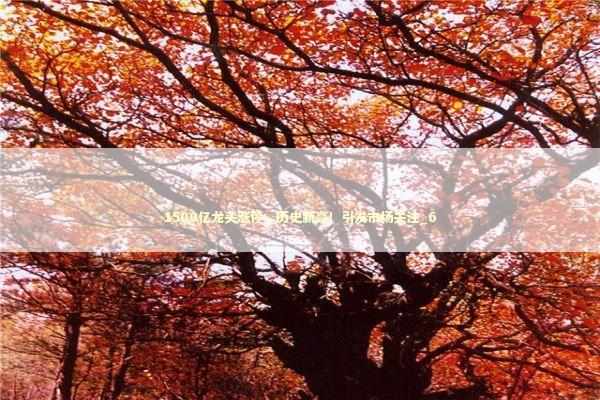 1500亿龙头涨停，历史新高！引发市场关注_6 新闻