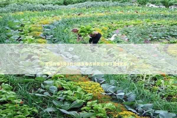 酒价内参3月3日价格发布古井贡古20下跌9元瓶_3 新闻