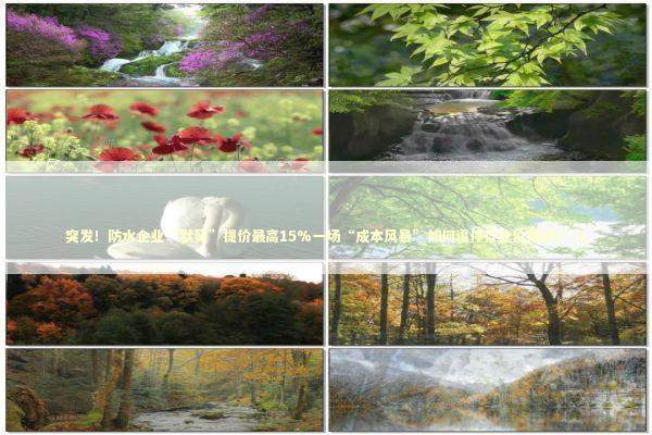 突发！防水企业“默契”提价最高15%一场“成本风暴”如何逼停行业价格战？_1 新闻