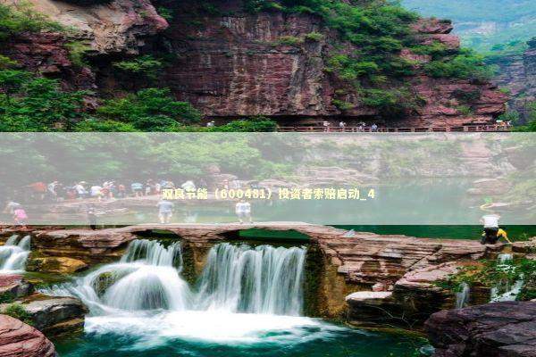 双良节能（600481）投资者索赔启动_4 新闻