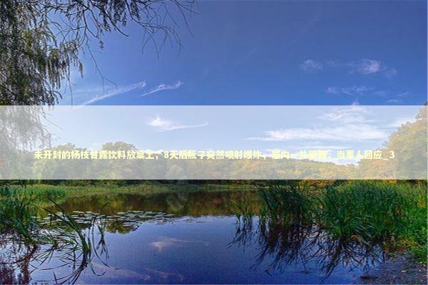 未开封的杨枝甘露饮料放桌上，8天后瓶子突然喷射爆炸，屋内一片狼藉，当事人回应_3 新闻