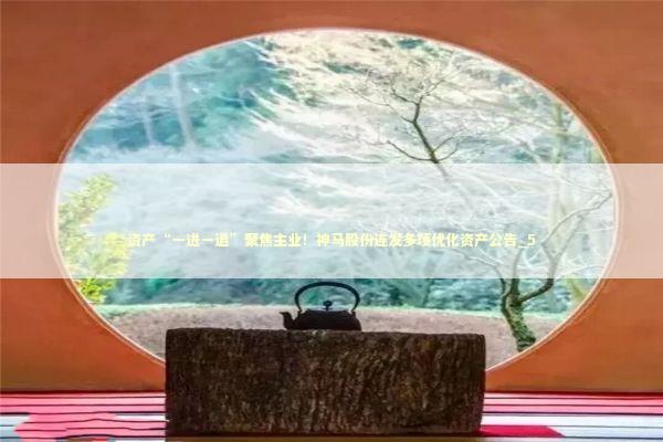 资产“一进一退”聚焦主业！神马股份连发多项优化资产公告_5 新闻