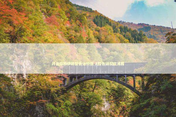 开盘熔断伊朗警告油价涨 A股市场彻底沸腾 新闻