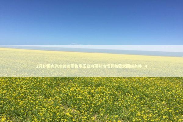 2月份国内汽车终端零售承压业内预判市场具备需求回暖条件_4 新闻