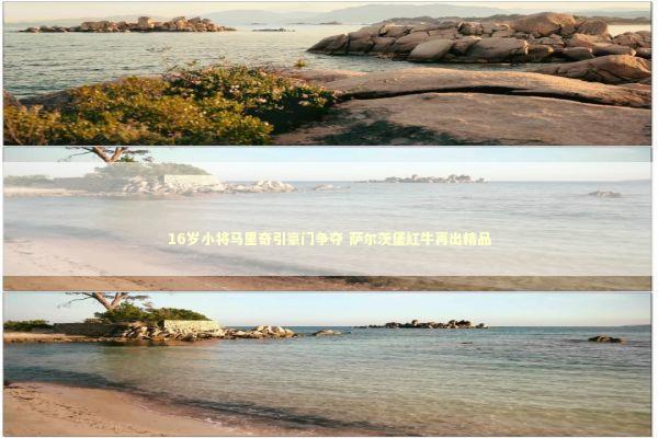 16岁小将马里奇引豪门争夺 萨尔茨堡红牛再出精品 新闻