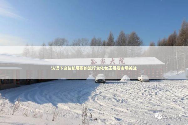 认识下这位私募圈的流行文化女王引发市场关注 新闻