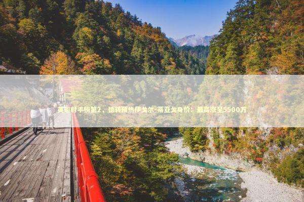 英超射手榜第2，德转预热伊戈尔-蒂亚戈身价：最高涨至5500万 新闻