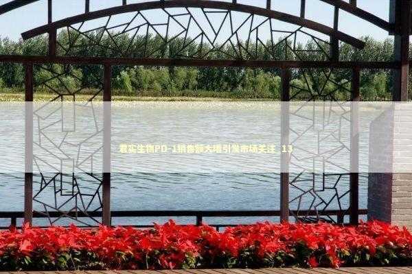 君实生物PD-1销售额大增引发市场关注_13