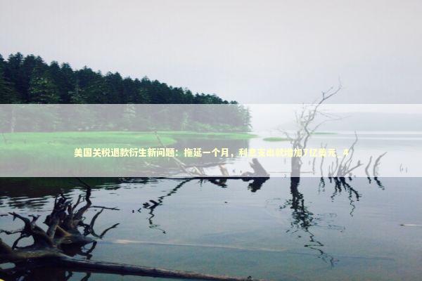 美国关税退款衍生新问题：拖延一个月，利息支出就增加7亿美元_4 新闻
