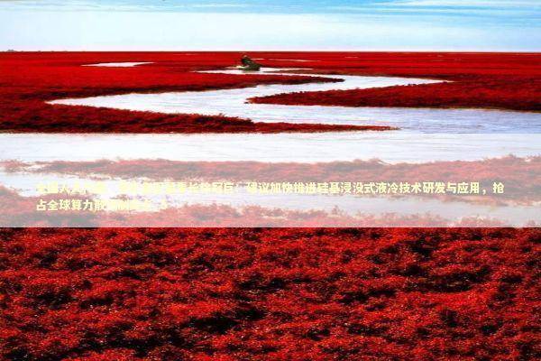 全国人大代表、传化集团董事长徐冠巨：建议加快推进硅基浸没式液冷技术研发与应用，抢占全球算力散热制高点_5 新闻