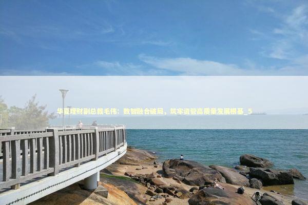 华夏理财副总裁毛伟：数智融合破局，筑牢资管高质量发展根基_5 新闻