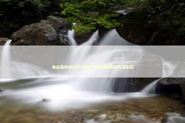 央企退市成必然 房地产供给侧改革进入深水区 新闻