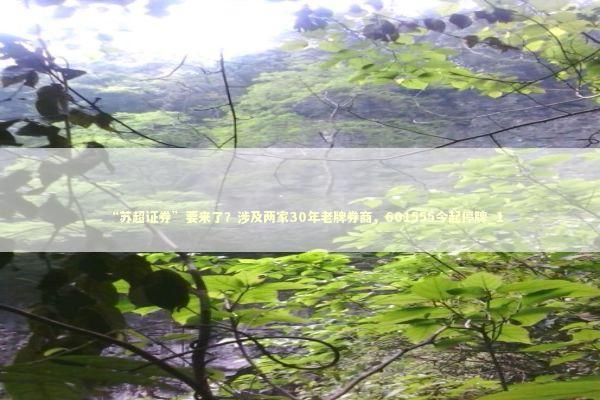 “苏超证券”要来了？涉及两家30年老牌券商，601555今起停牌_1 新闻