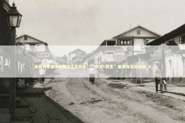 粤西首家顺丰旗舰店正式开业，“物流+民生”服务体系双升级_4 新闻