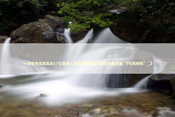 一季度净流出高达17亿美元！黑石集团旗舰私募信贷基金成“PE风向标”_2 新闻