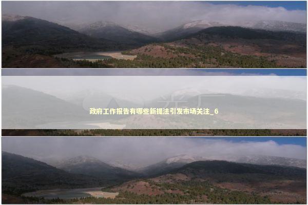 政府工作报告有哪些新提法引发市场关注_6 新闻