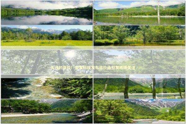 久违的涨价！金发科技发布涨价函引发市场关注 新闻