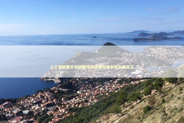 人工智能数字空间秩序的法律构建引发市场关注 新闻