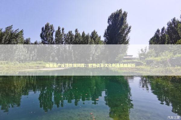 海量用户反馈数据揭露：软件资源优化利用策略解析 新闻