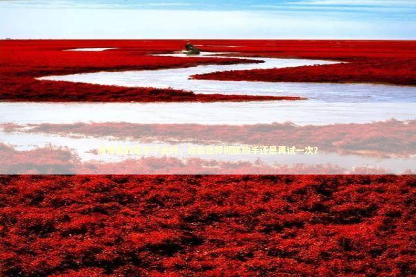 感情真的走不下去时，你会选择彻底放手还是再试一次？