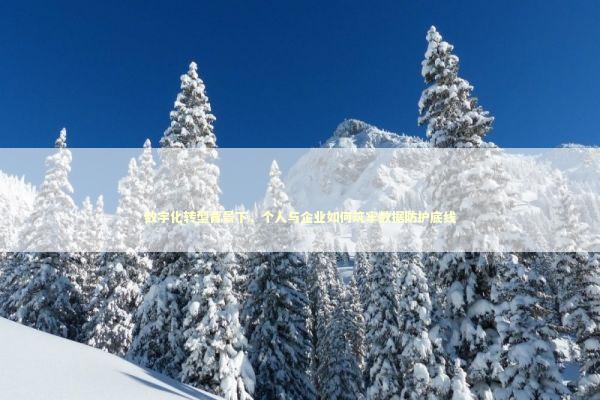 数字化转型背景下,个人与企业如何筑牢数据防护底线 数字化转型背景下,个人与企业如何筑牢数据防护底线 IT技术